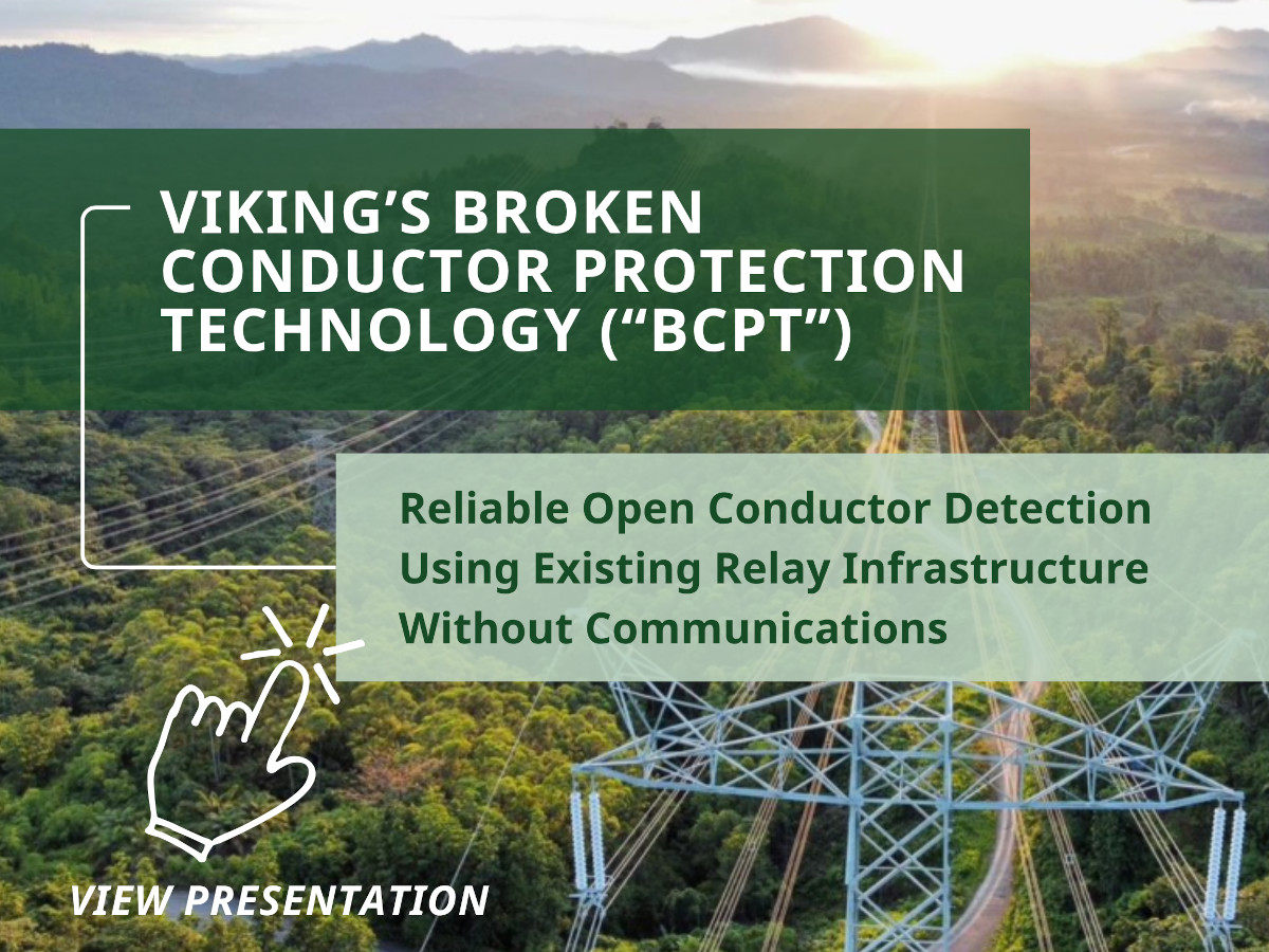 Viking Protection Systems BCPT presentation